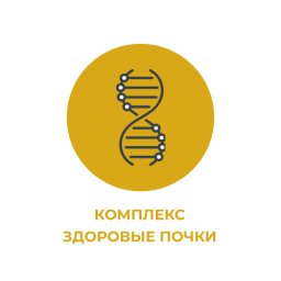 Комплекс "Здоровые почки" Комплекс "Здоровые почки"