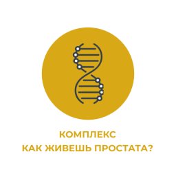 Комплекс "Как живешь простата?" Комплекс "Как живешь простата?"